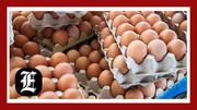 Egg producers and two trade groups inflated prices for years, federal jury finds