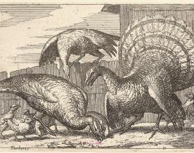 Much to be Thankful For