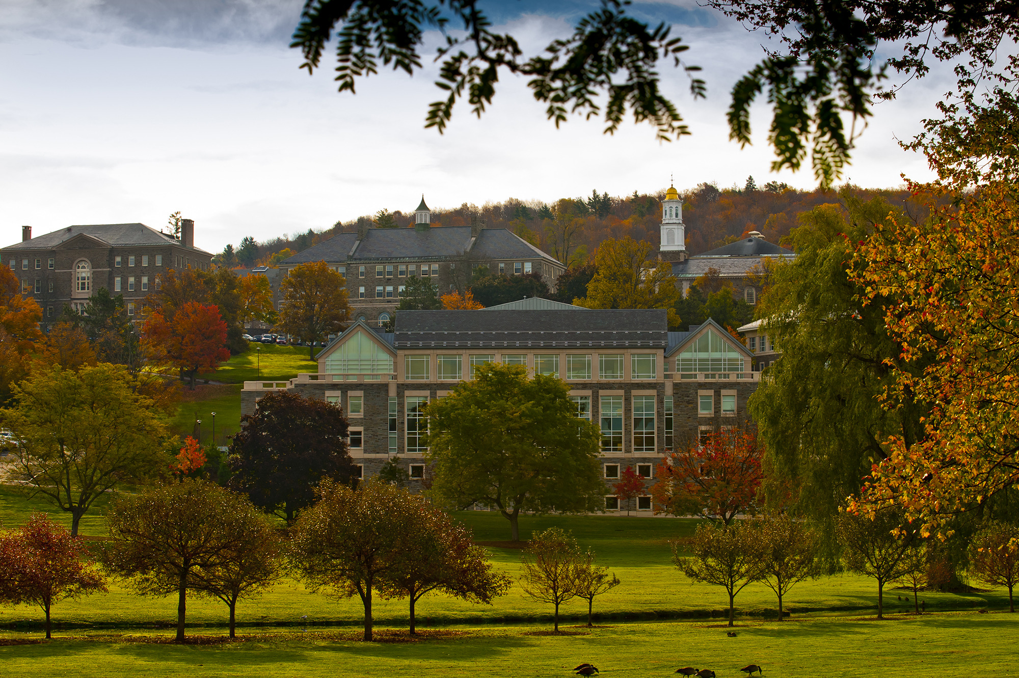 Should colleges worry over plan to cap deductions?