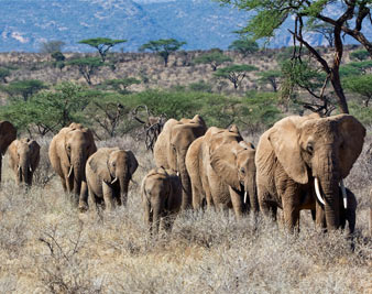 They’ll Have  His Back