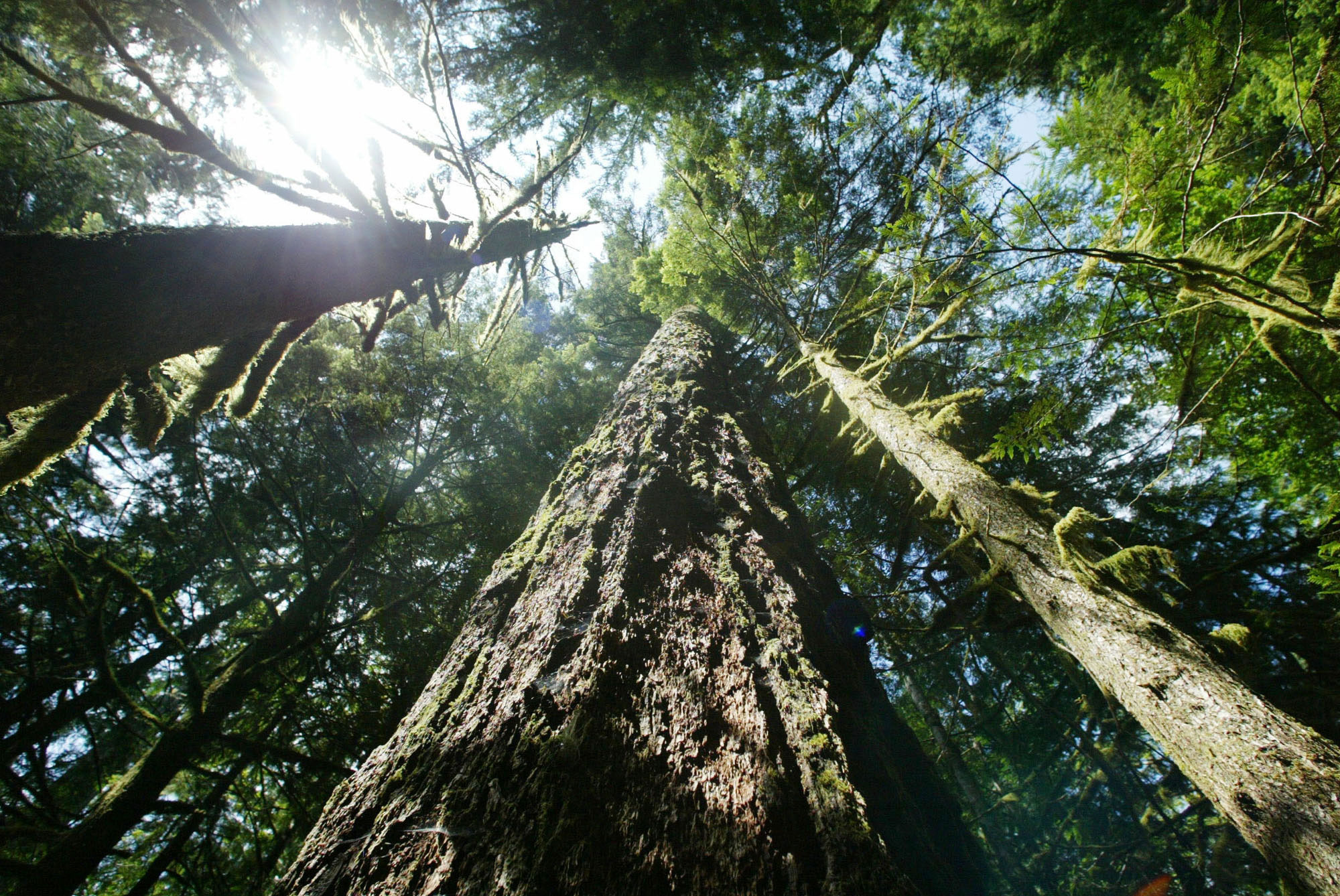What the press isn’t telling you about Burns, Ore.