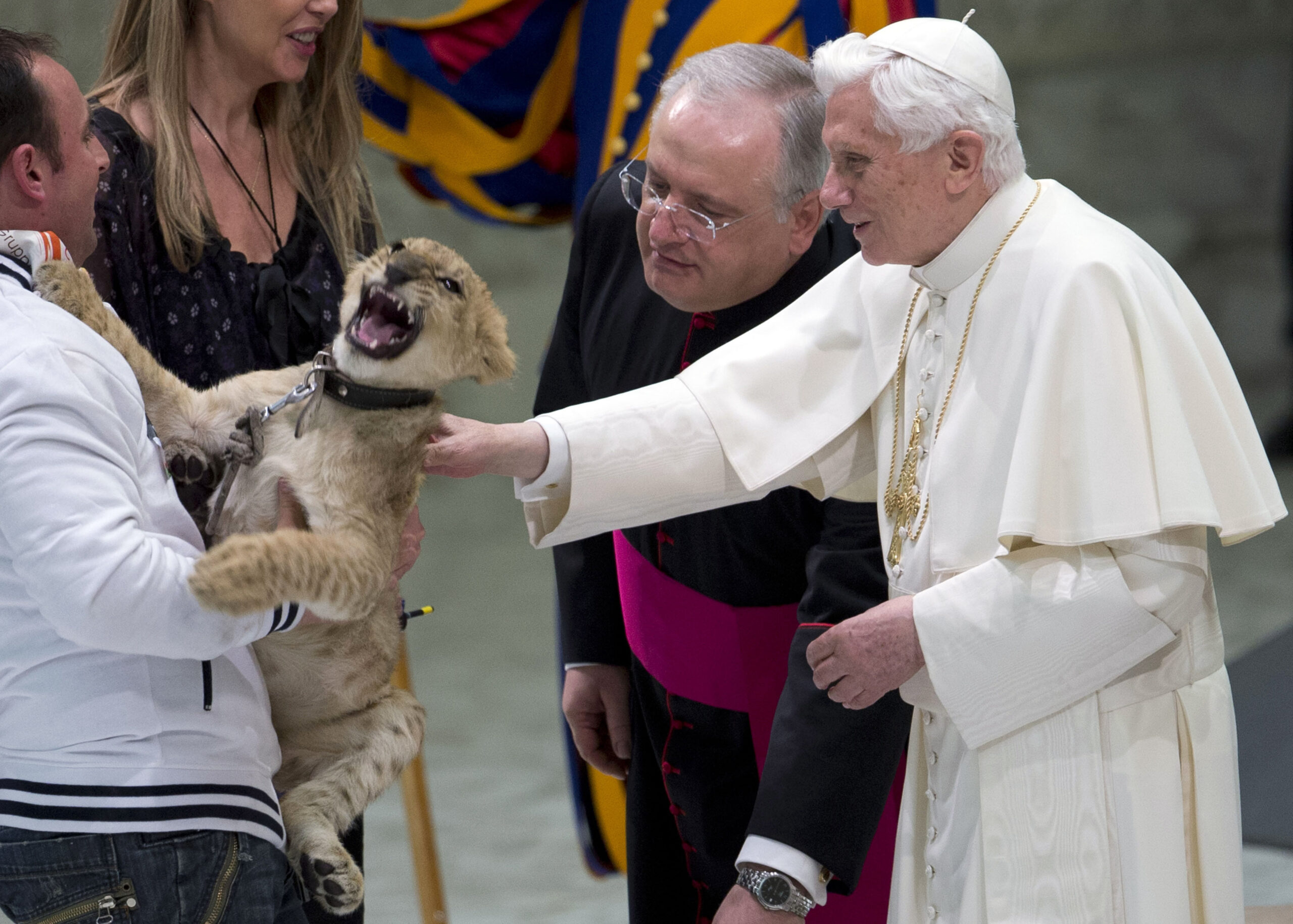 Pope greets clowns, acrobats: Circus comes to town
