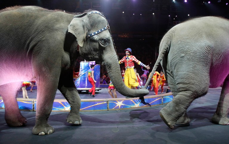 The Ringling Bros. and Barnum & Bailey Circus will be shutting down this year. (AP Photo/Bill Sikes)