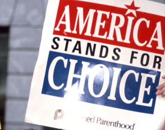 Reactionary Democrats