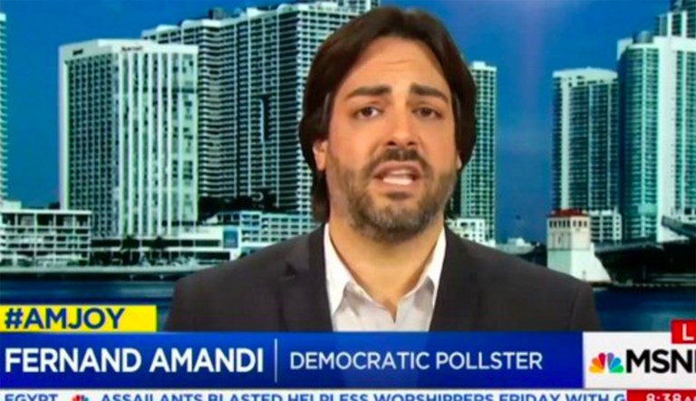 During his rant on an MSNBC panel, Fernand Amandi also called the Republican party 