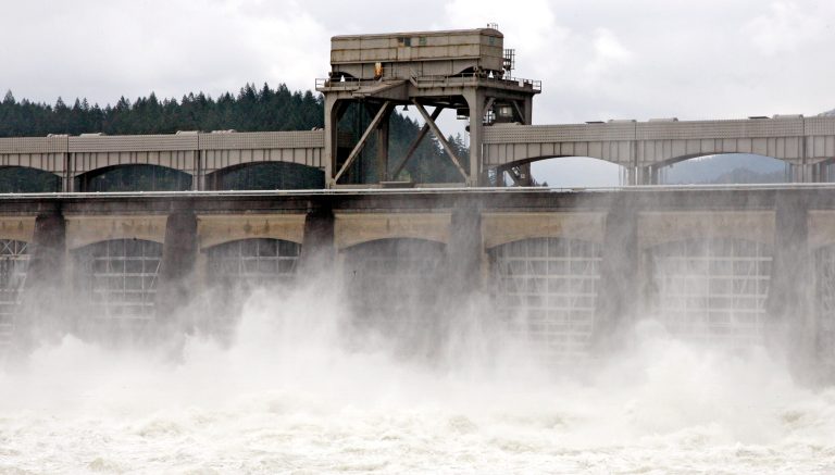 The Columbia River flowsthrough the Bonneville Dam near Cascade Locks, Ore., in 2011. (AP Photo/Rick Bowmer, File)