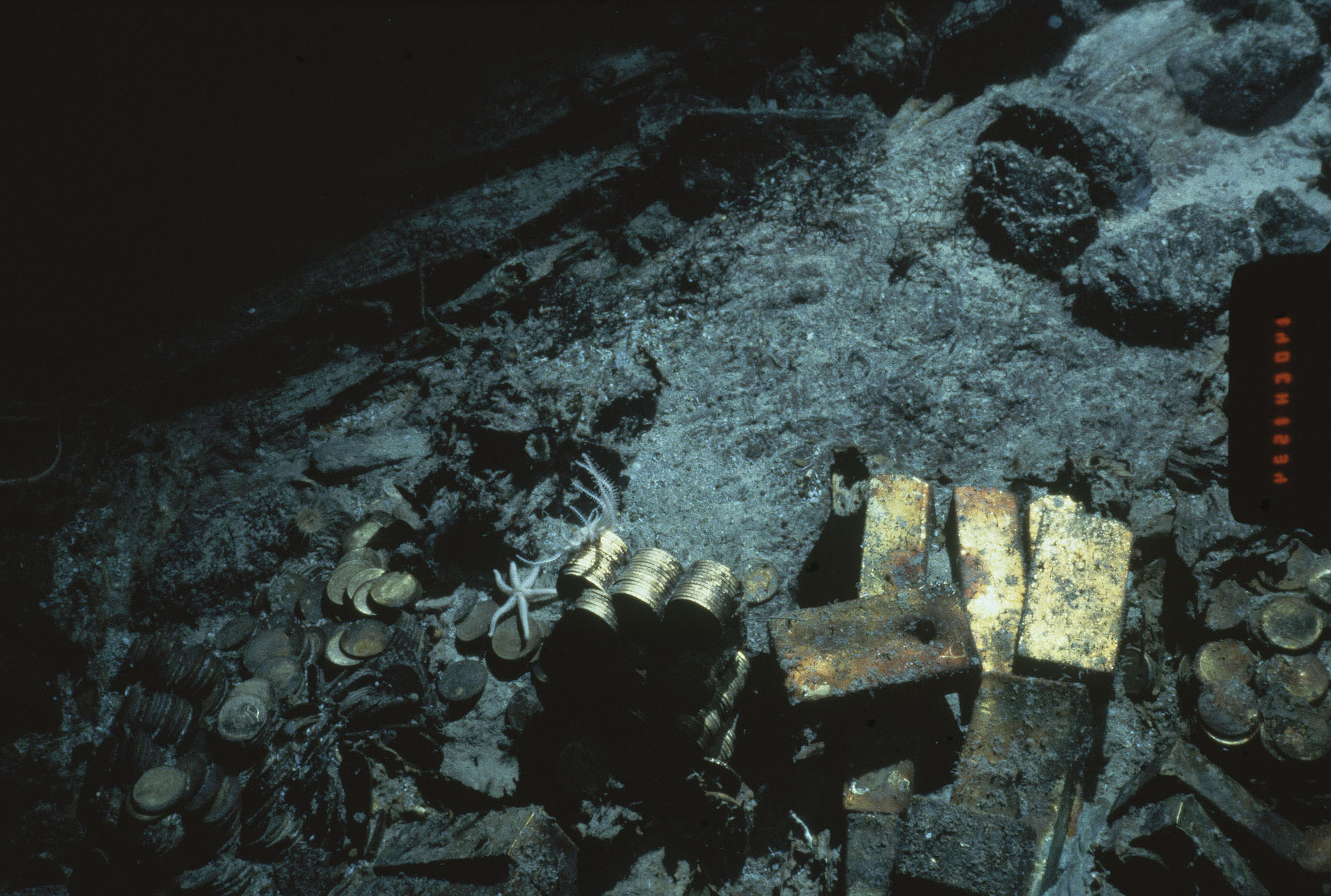 Ohio company wins rights to shipwreck’s gold