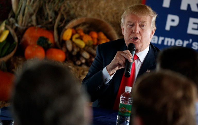 Even though Donald rump now employs Club for Growth founder Stephen Moore, the president-elect often strays from free market orthodoxy. (AP Photo/ Evan Vucci, File)