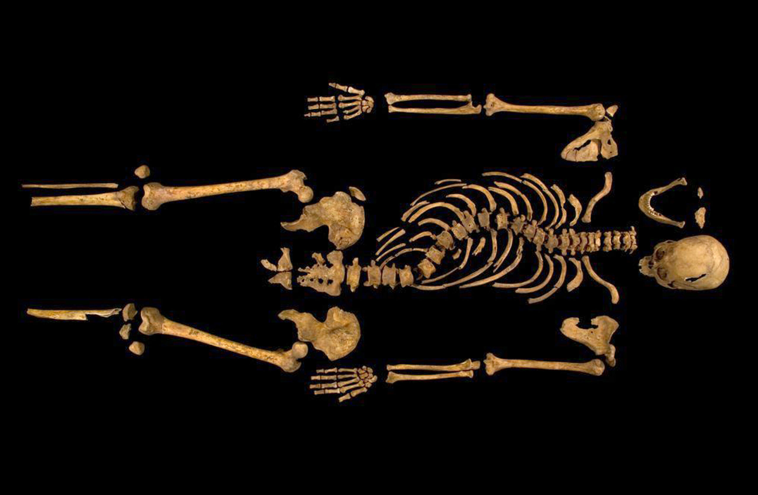 Cathedral announces plans for Richard III burial