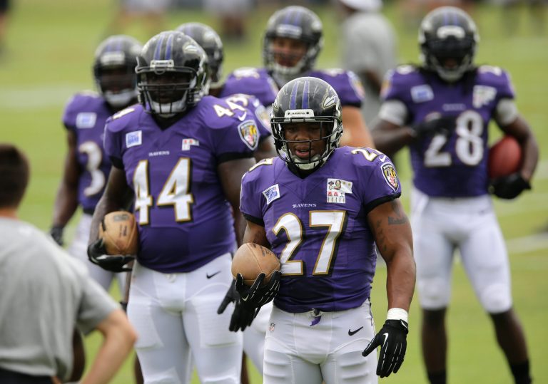 The Baltimore Ravens will get $130,000 to help state officials promote the Maryland Health Connection, according to government watchdog Judicial Watch.ÃÂ (AP Photo/Patrick Semansky)