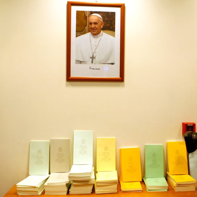 The Light of Francis