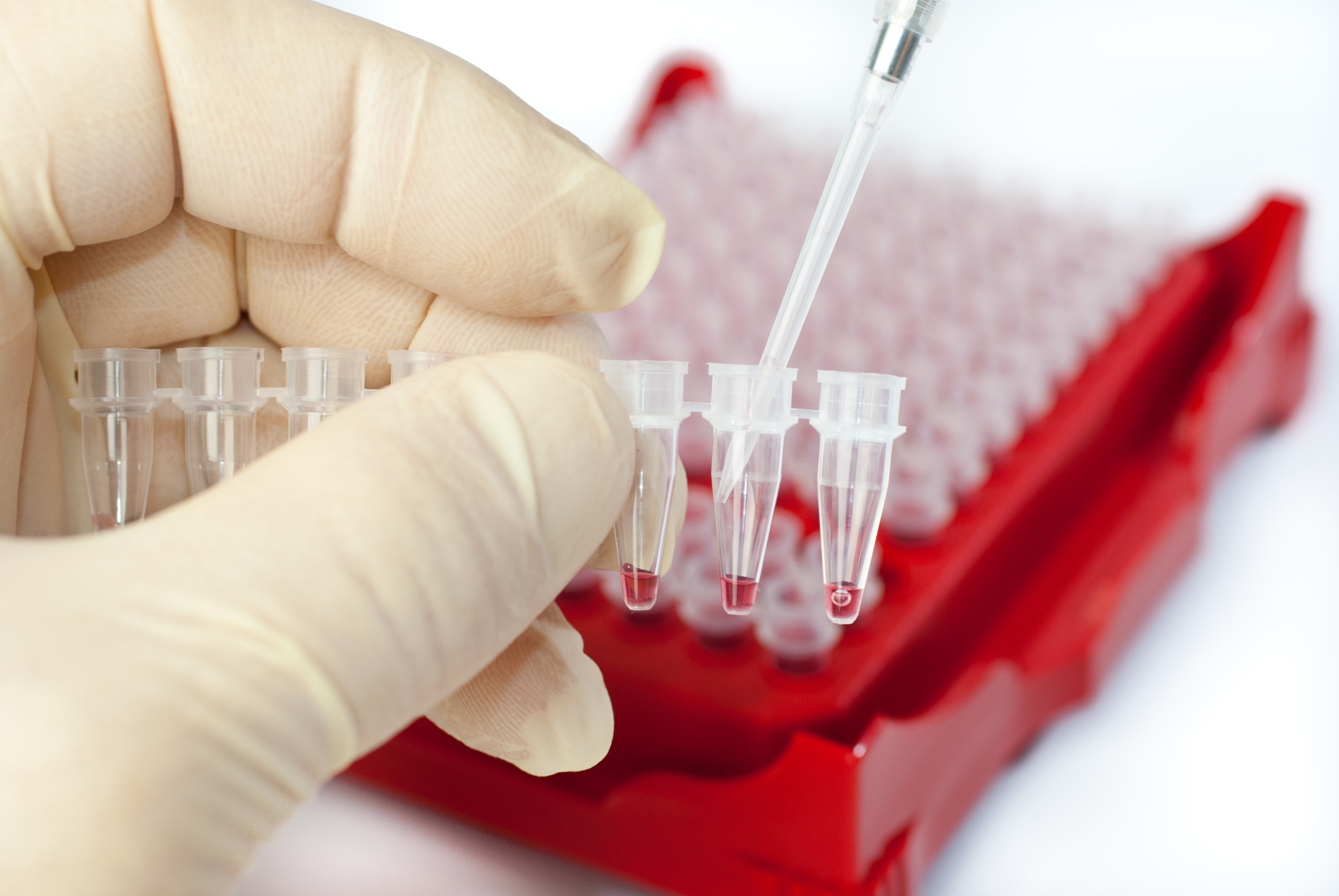 Supreme Court taking up question of DNA collection