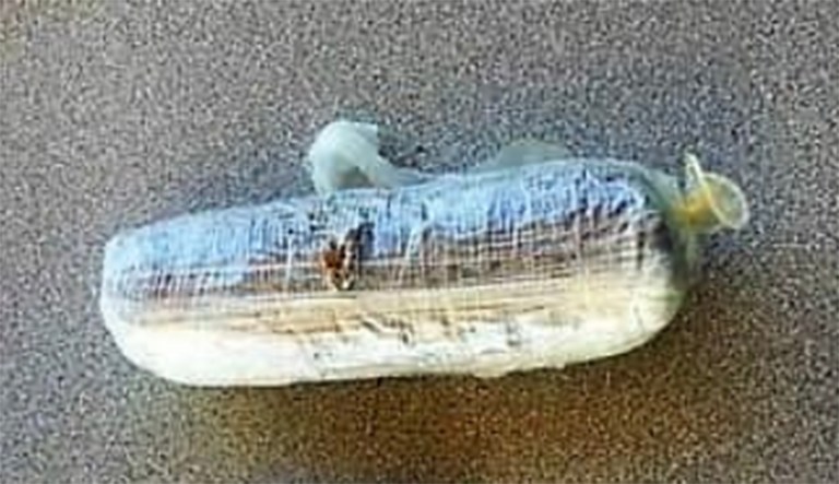 Border Patrol agents near Tucson, Ariz., found a burrito-sized package of heroin that was inside a blown-up condom and tied at the top. (Photo courtesy: Customs and Border Patrol)