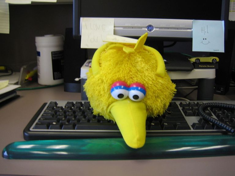 Big Bird’s Neck on the Block, Again