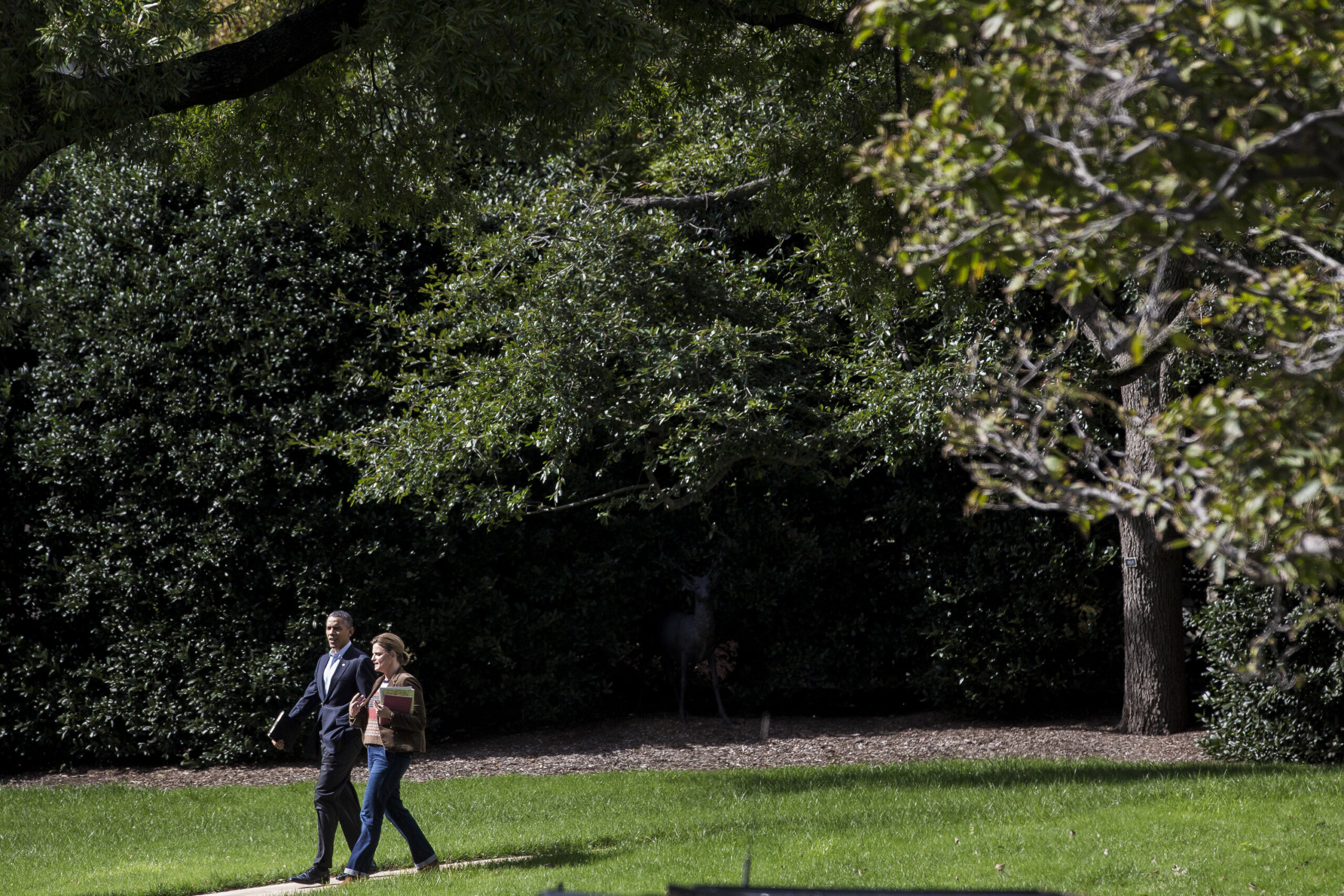 White House: Our staffers aren’t running for the exits