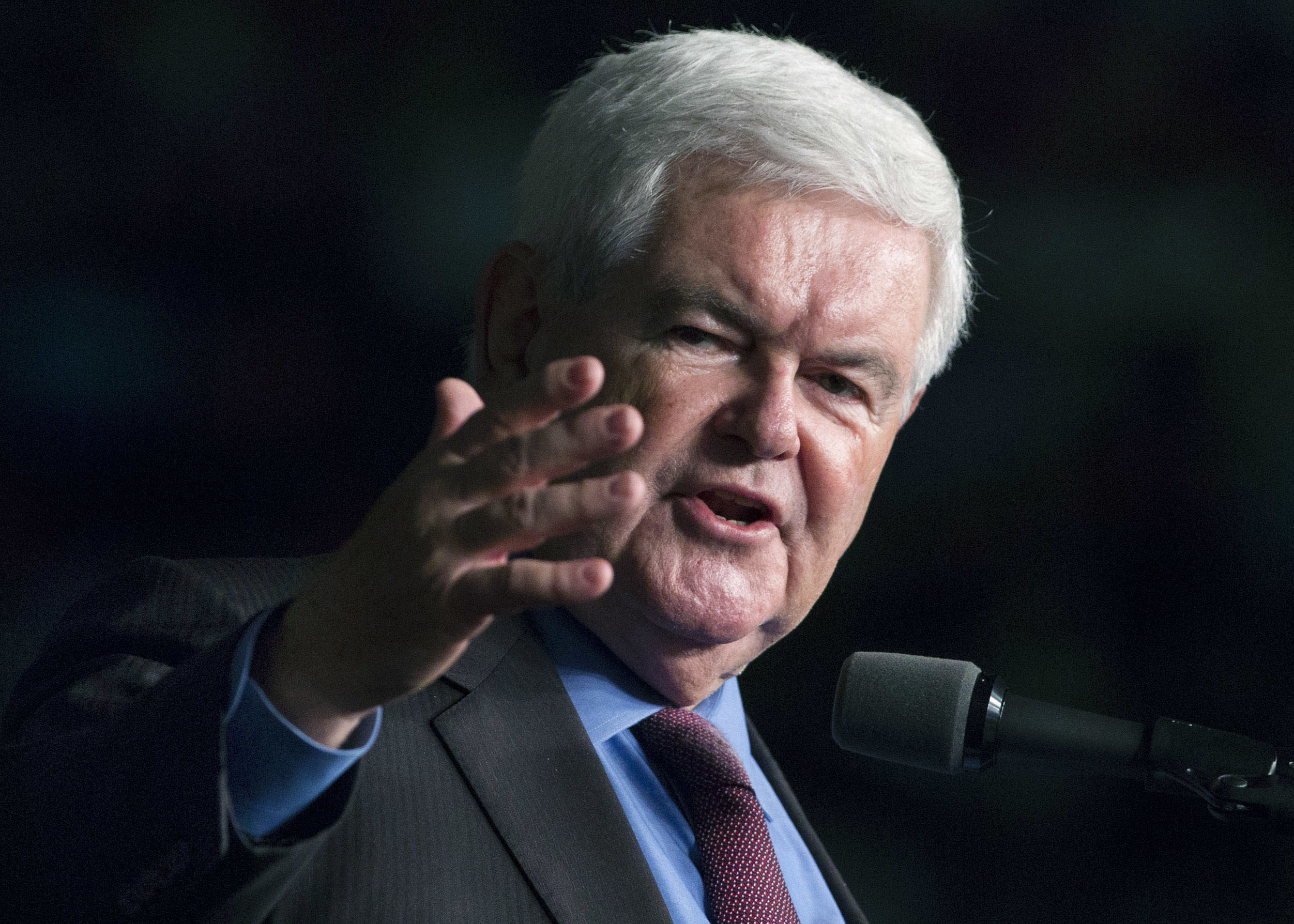 Newt Gingrich: Jeff Sessions ‘clearly won’ hearing