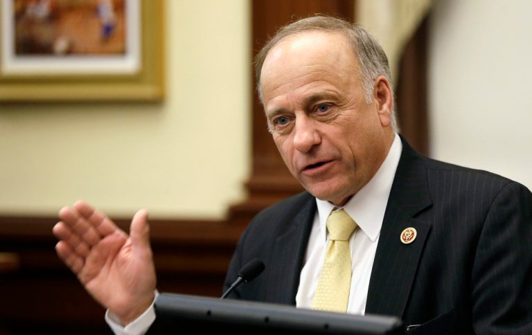 Rep. Steve King compares abortions to killing newborn puppies. (AP Photo/Charlie Neibergall, File)