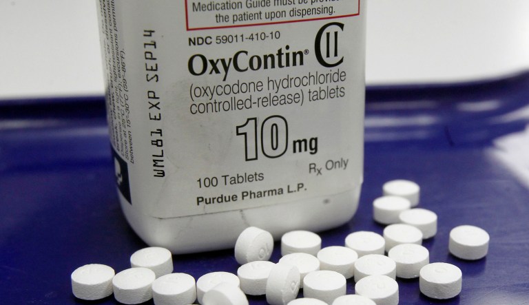 This 2013 file photo, shows OxyContin pills arranged for a photo at a pharmacy in Montpelier, Vt. Several bills in the House and the Senate would give more power to the Drug Enforcement Administration. (AP Photo/Toby Talbot, File)