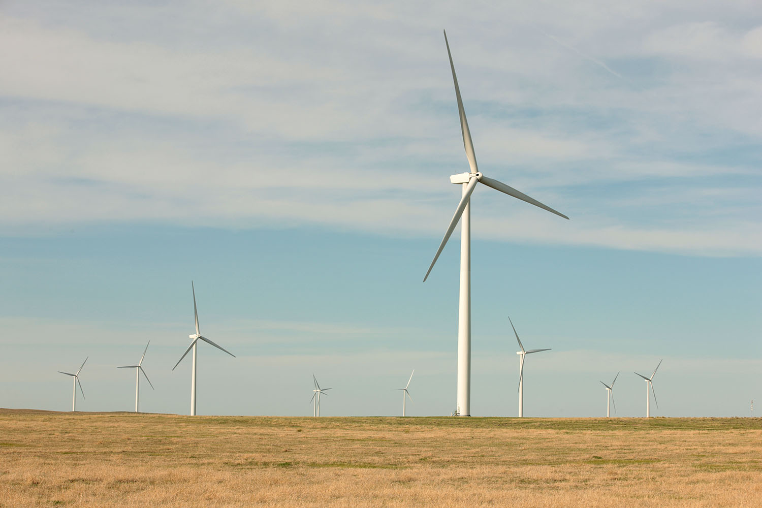 Google defeats Pentagon on green energy use