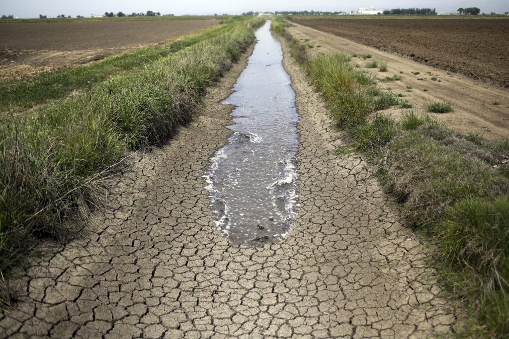 Trump revives California’s water wars between farms and fish