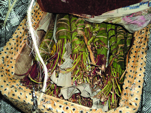 Feds seize 214 pounds of illegal stimulant khat at Dulles airport