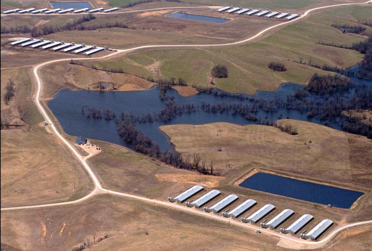 Of this money, $40 million will go directly to existing counseling agencies and organizations. (AP Photo/Mike Stewart)