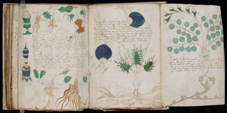 Prufrock: The Voynich Manuscript Explained, Why Russians Hate Gorbachev, and the Baffling Auroras of Jupiter