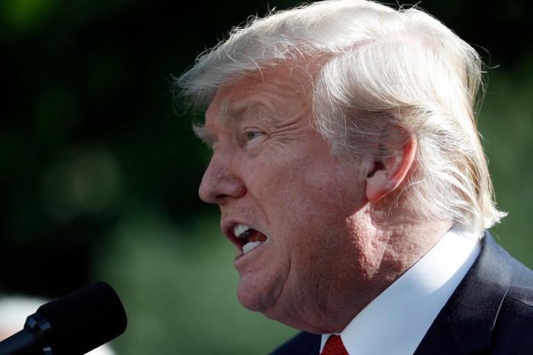 The voter fraud commission was created in May after Trump claimed, without evidence, that millions of illegal immigrants cast votes for Hillary Clinton in the 2016 election and prevented him from winning the popular vote. (AP Photo/Alex Brandon)