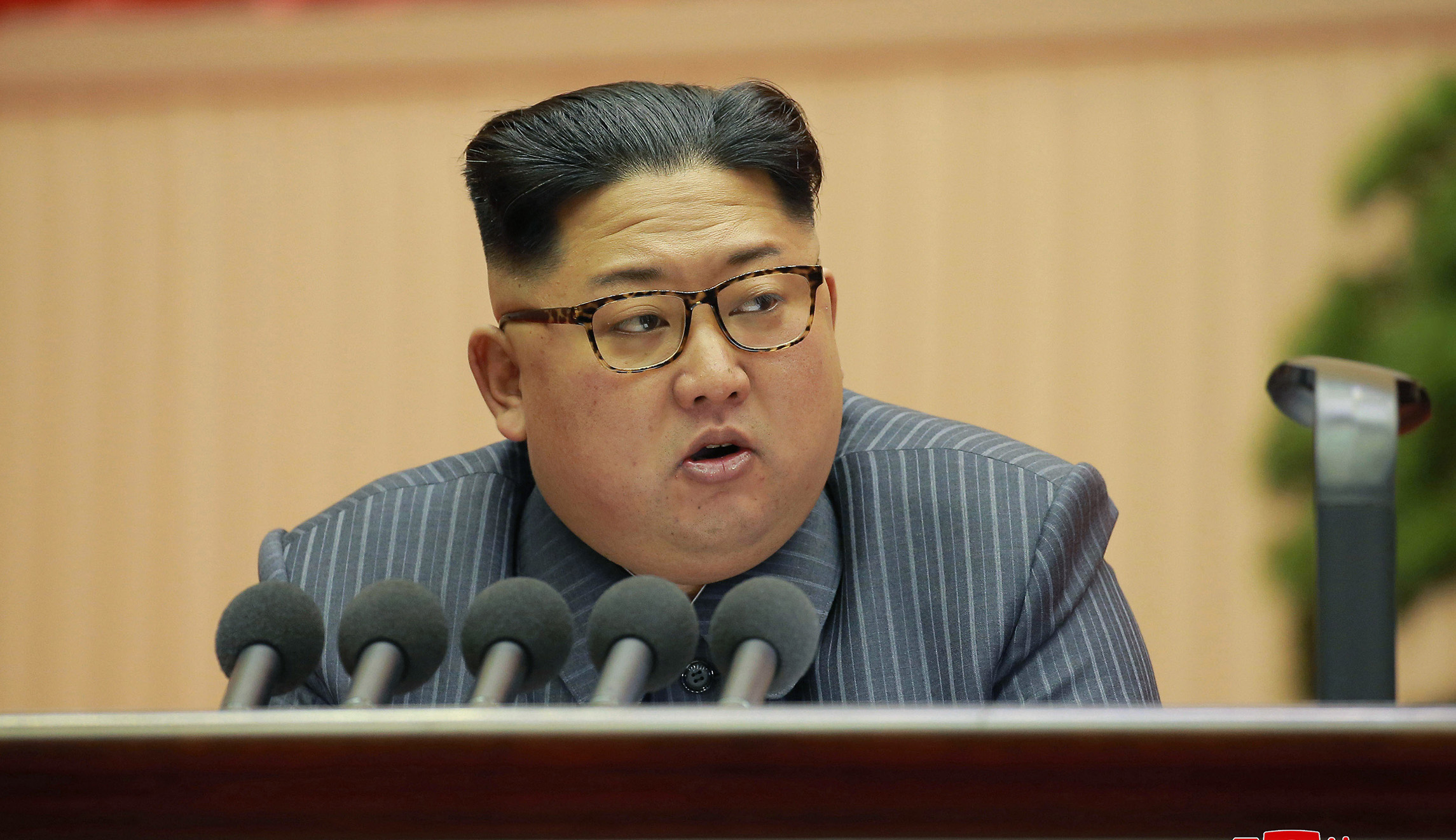 North Korea extends olive branch to South Korea in call for unification
