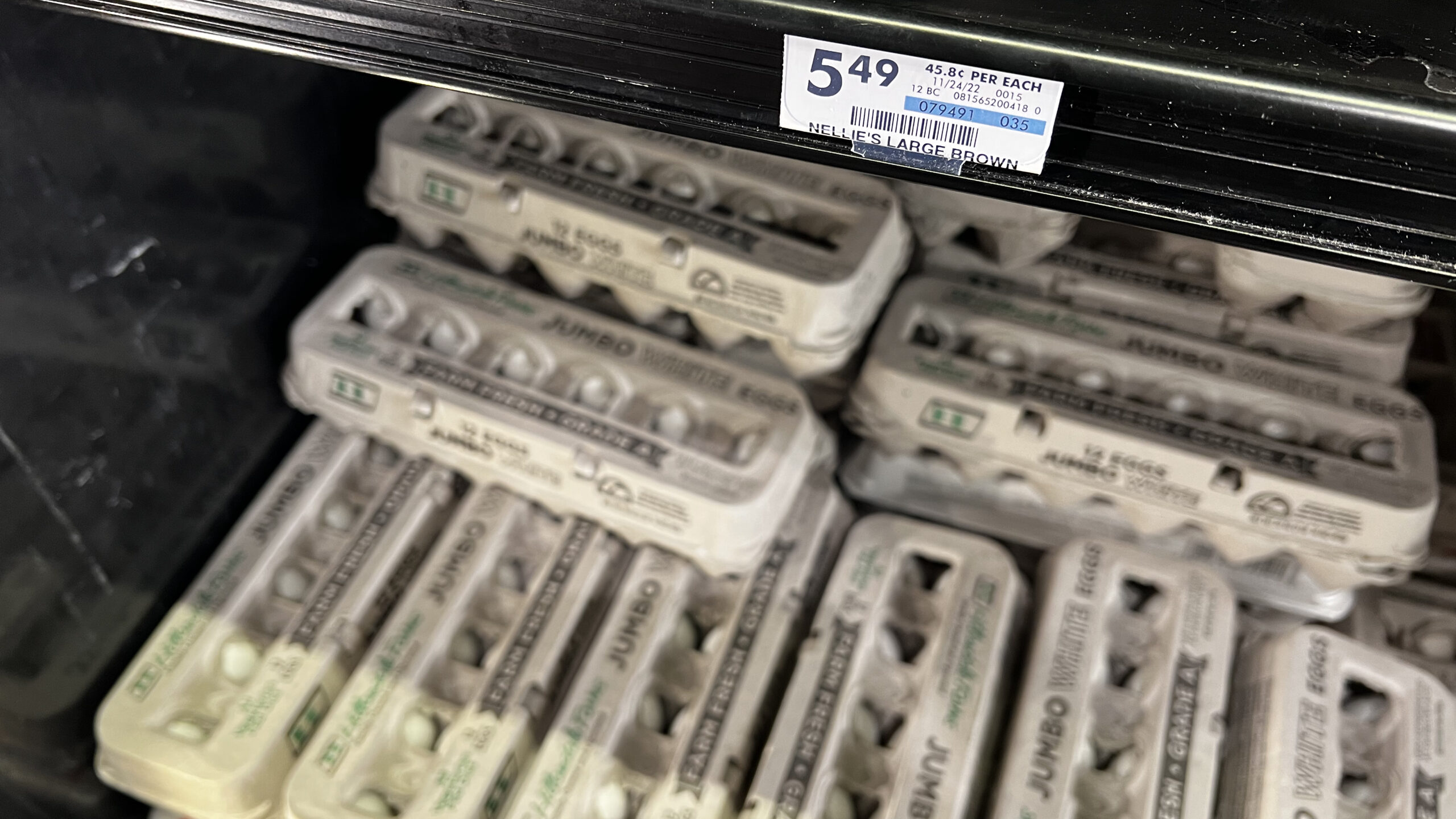 20230112 Eggs 05.JPEG