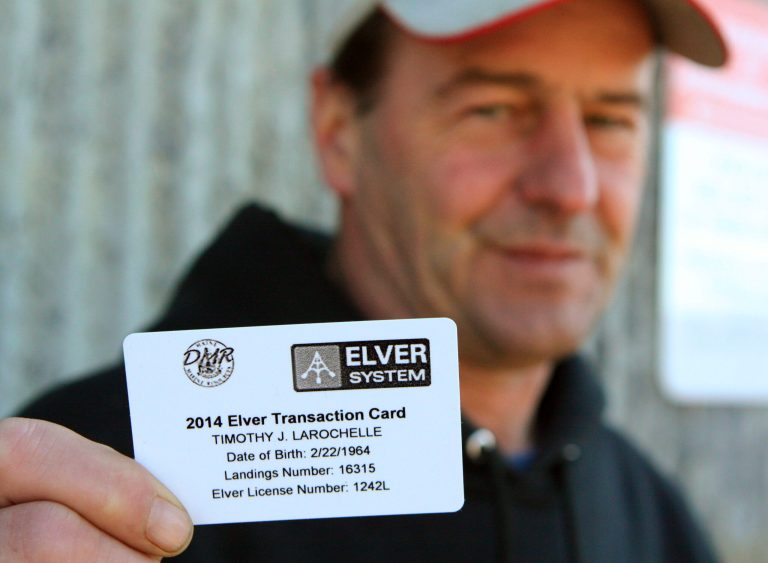 In this photo made Friday, April 4, 2014, fisherman Tim LaRochelle displays his new electronic swipe card for elver fishing in Portland, Maine, that permits him to catch elvers during the 2014 elver fishing season. Maine now requires its fishermen use the cards to record sales of the baby eels in its second most valuable fishing business, after lobstering. (AP Photo/Blake Davis)
