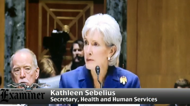 VIDEO: Kathleen Sebelius back in the hot seat on the hill