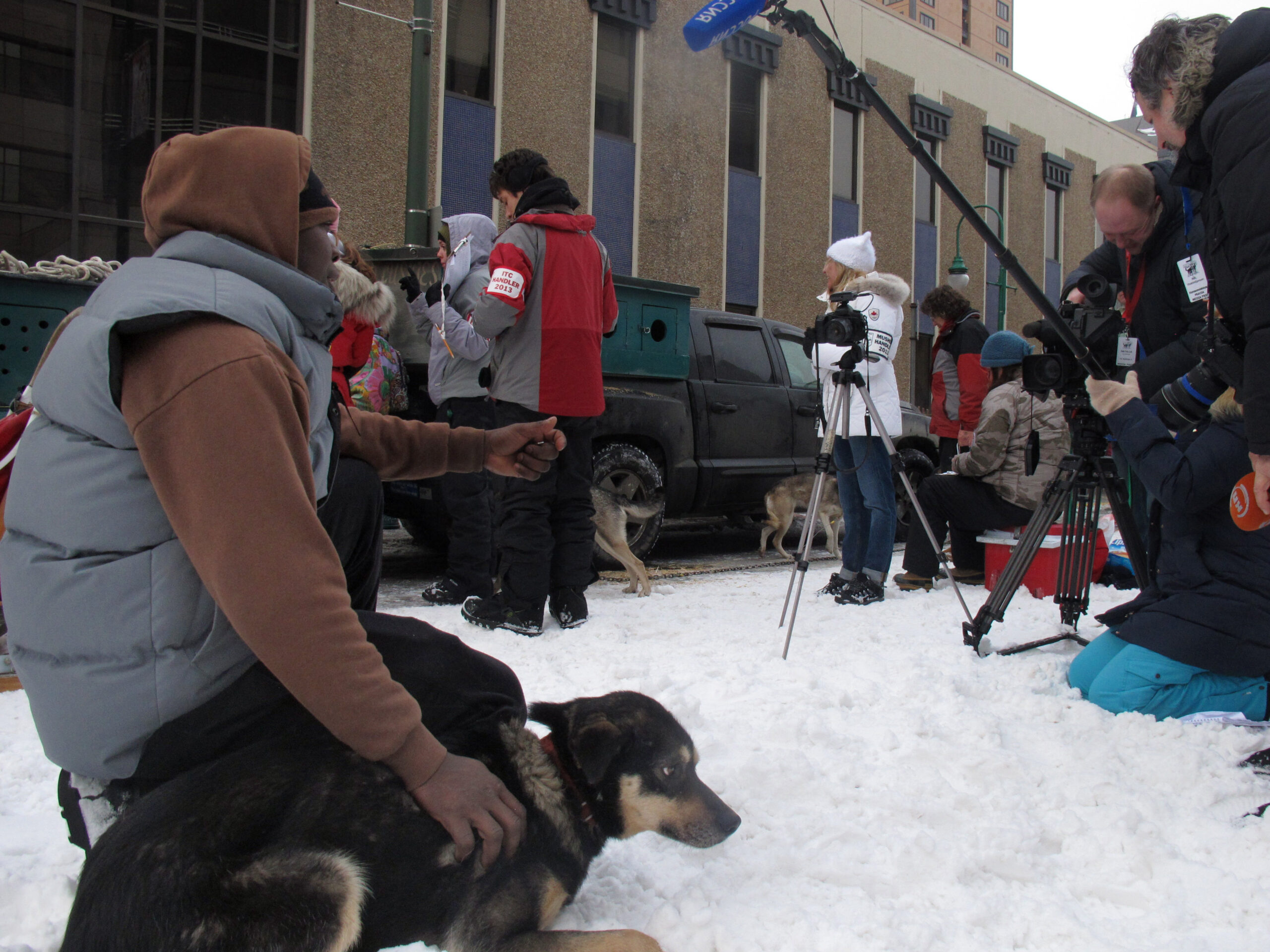 Iditarod kicks off with festive ceremonial start