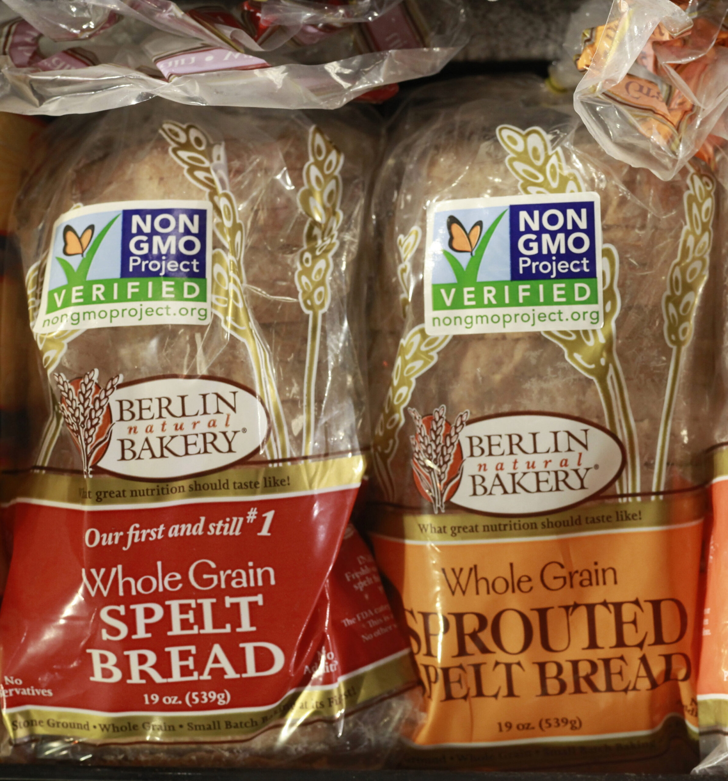 Key points in the genetically modified food debate