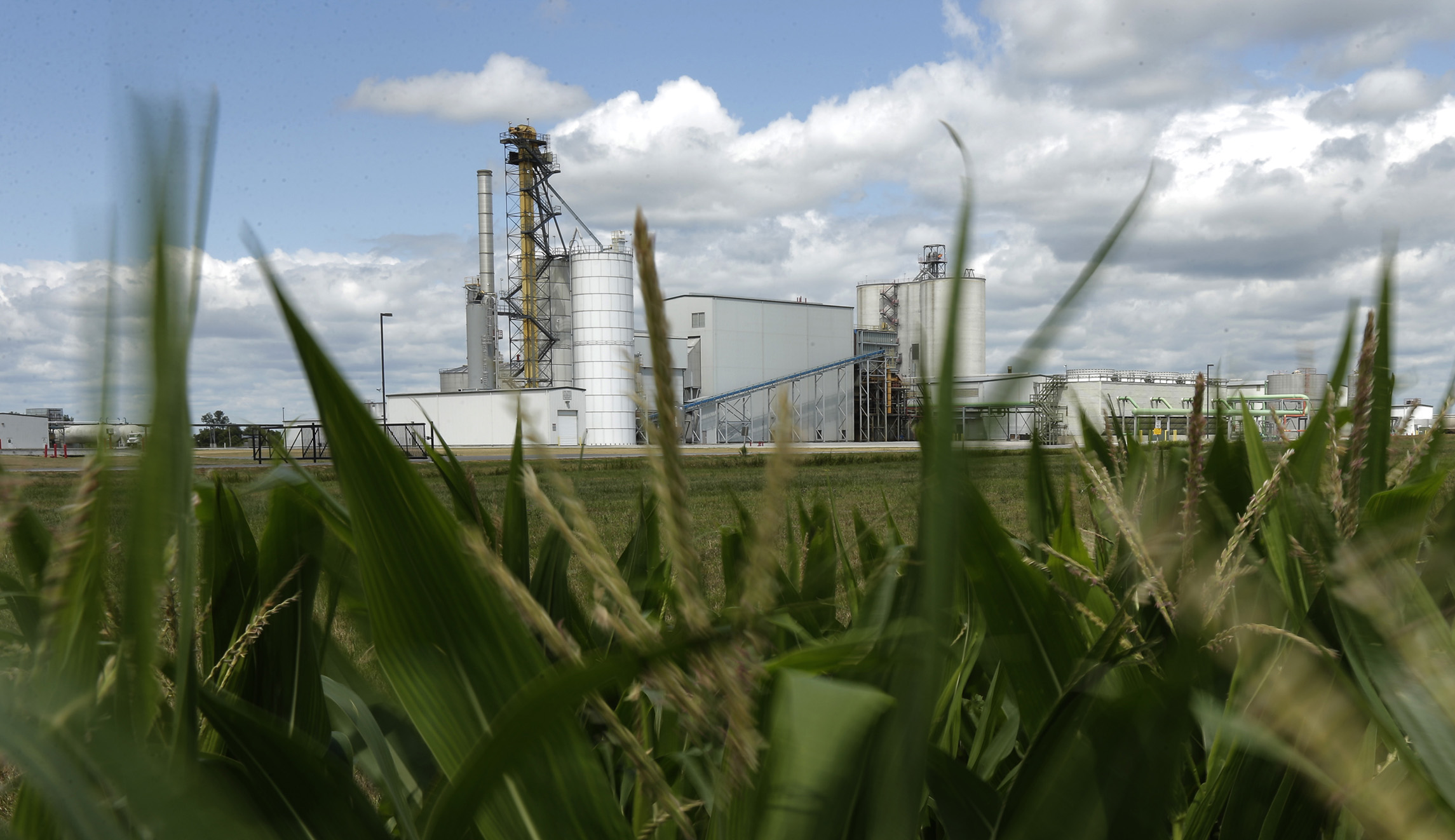 Scrap the Renewable Fuel Standard