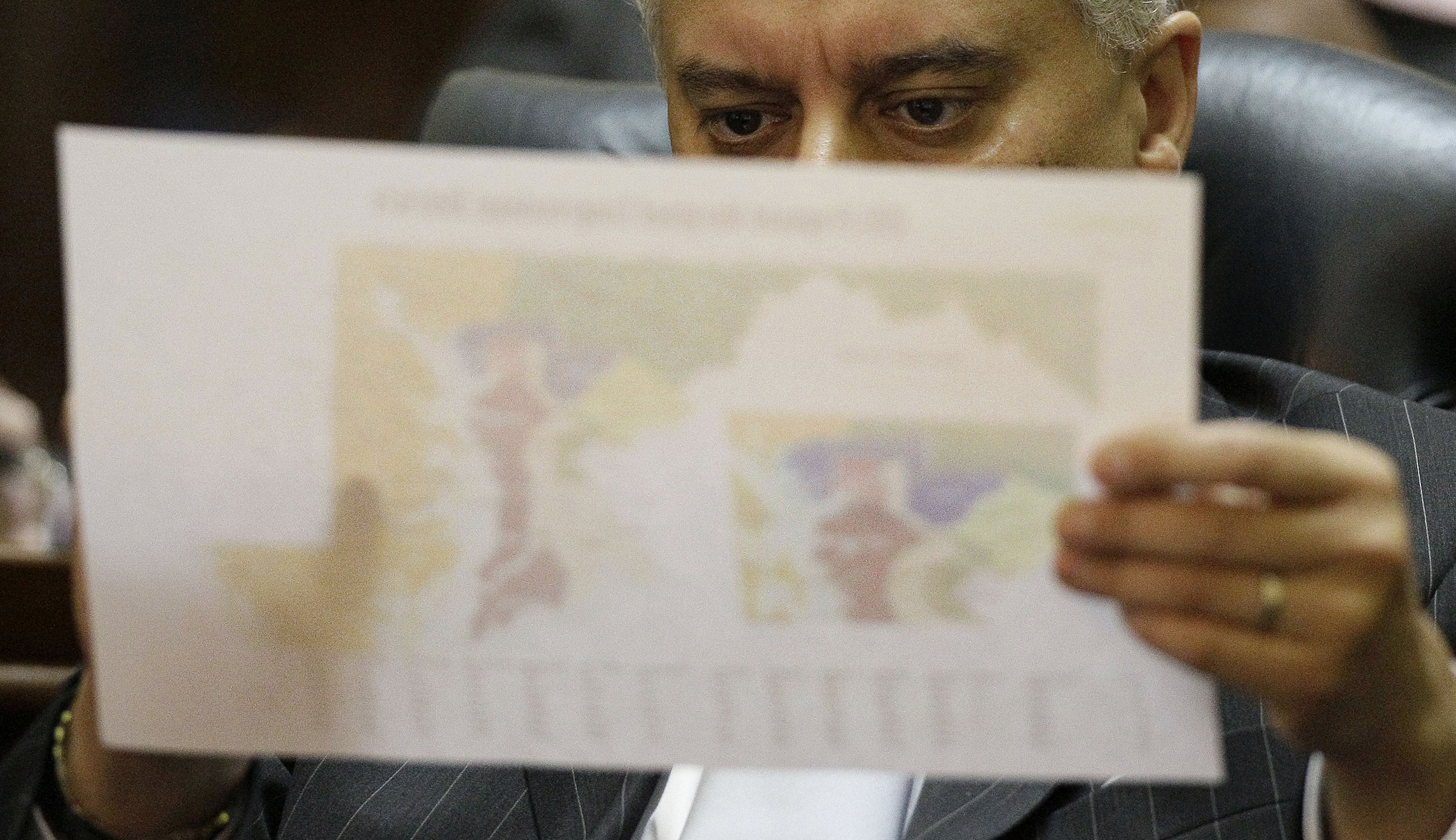 The dog ate my congressional district