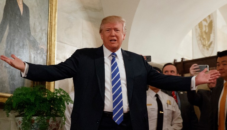 A Welsh tourist posted video of the encounter on Instagram along with the caption: 