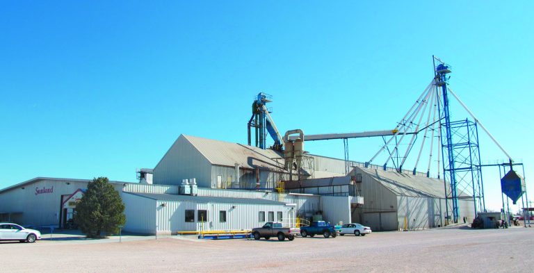 This Nov. 27, 2012 photo shows the Sunland Inc. peanut butter and nut processing plant in eastern New Mexico, near Portales, which has been shuttered since late September due to a salmonella outbreak that sickened dozens. The Food and Drug Administration on Monday, Nov. 26, 2012, suspended the registration of Sunland Inc., which is the country's largest organic peanut butter processor. FDA officials found salmonella in numerous locations in Sunland's processing plant after 41 people in 20 states, most of them children, were sickened by peanut butter manufactured at the Portales, N.M., plant and sold at the Trader Joe's grocery chain. The company had announced plans to reopen its peanut processing facility on Tuesday after voluntarily shutting down earlier this fall. (AP Photo/Jeri Clausing)