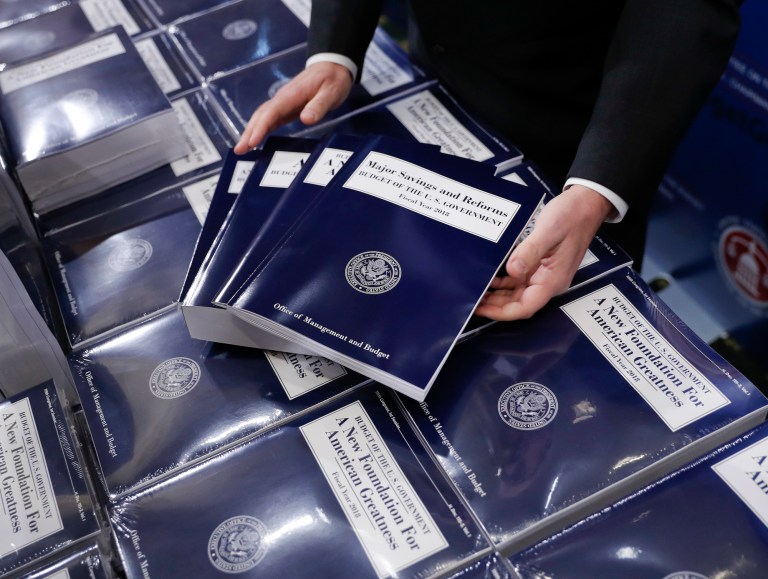 Writing a budget longer than the standard 10 years would allow Congress to pass a revenue-losing tax reform of that length without needing any Democratic votes. (AP Photo/Pablo Martinez Monsivais)