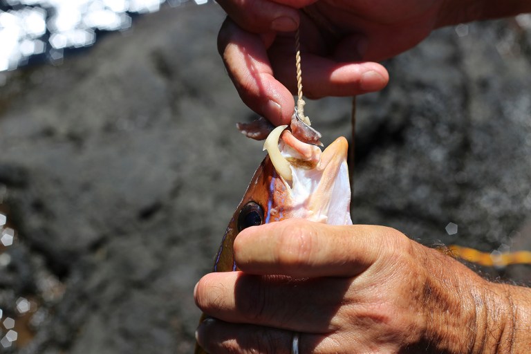 Umi Kai uses a traditional Hawaiian hook to catch a fish at the Papahanaumokuakea Marine National Monument in Hawaii. House Natural Resources chairman said, President Obama's decision to expand a national monument off the coast of Hawaii will cause 
