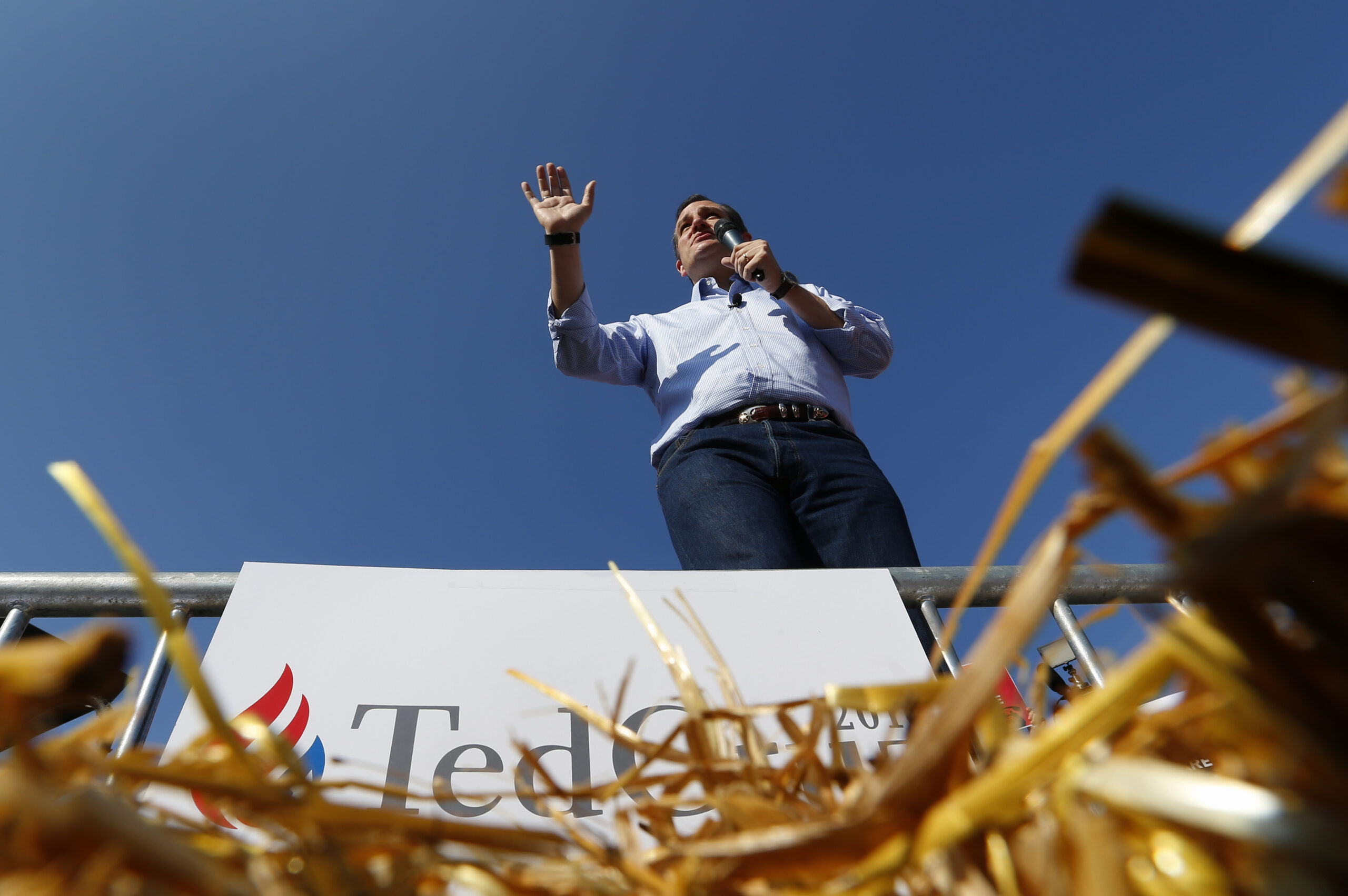 Can Cruz kill King Corn?