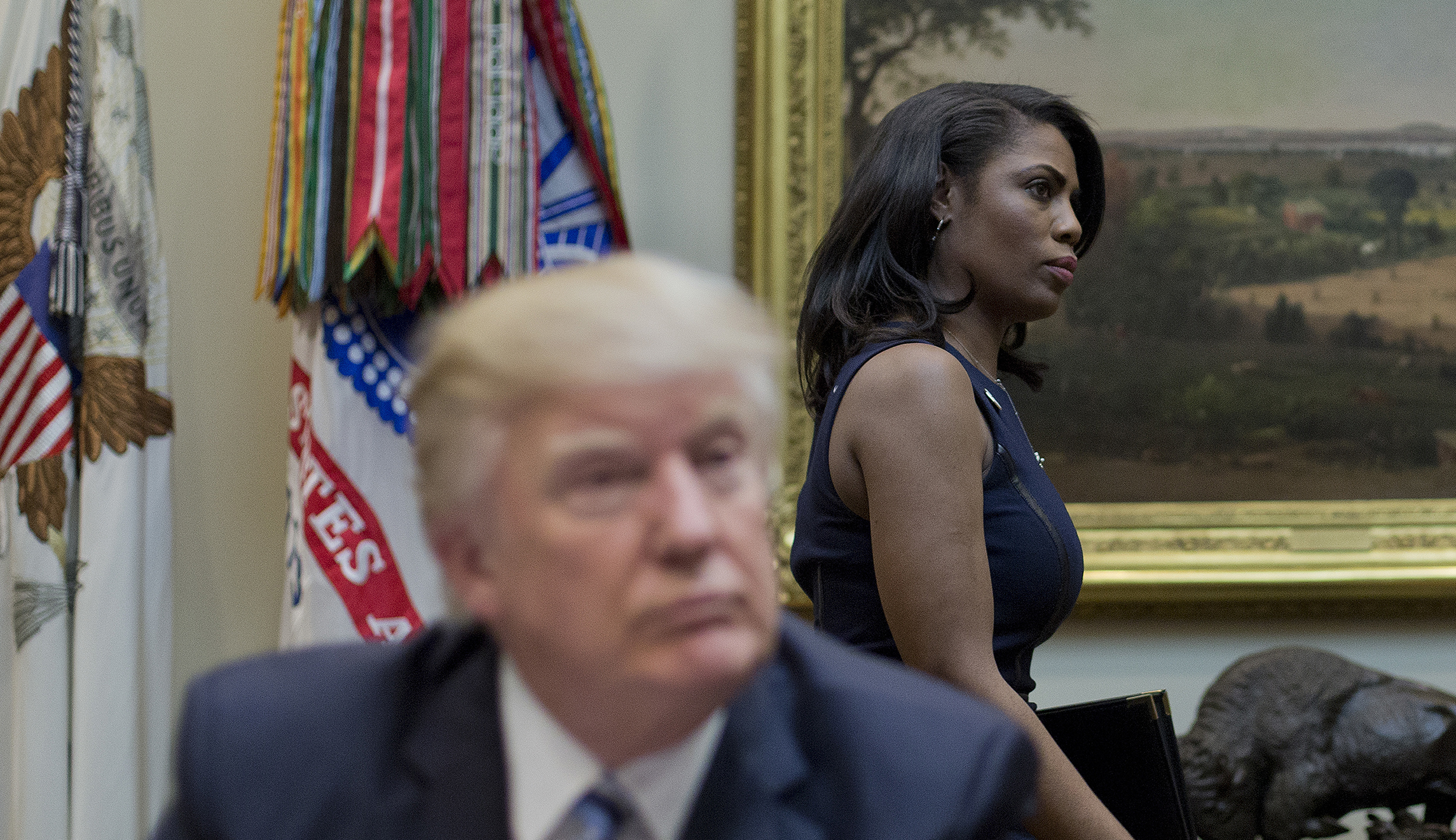 Omarosa acknowledges lack of diversity in White House, says it was ‘lonely’
