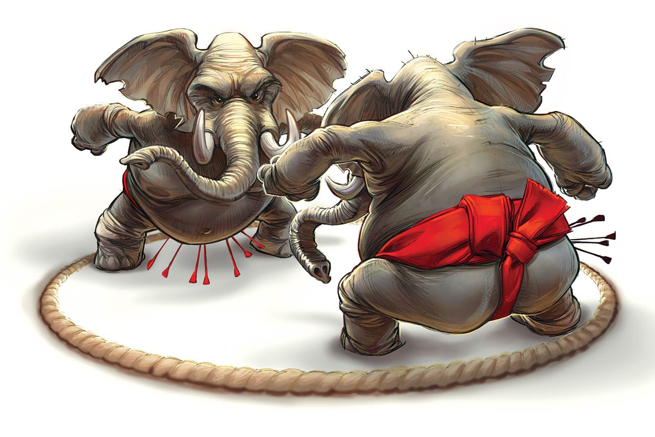 A Party Divided Against Itself . . .