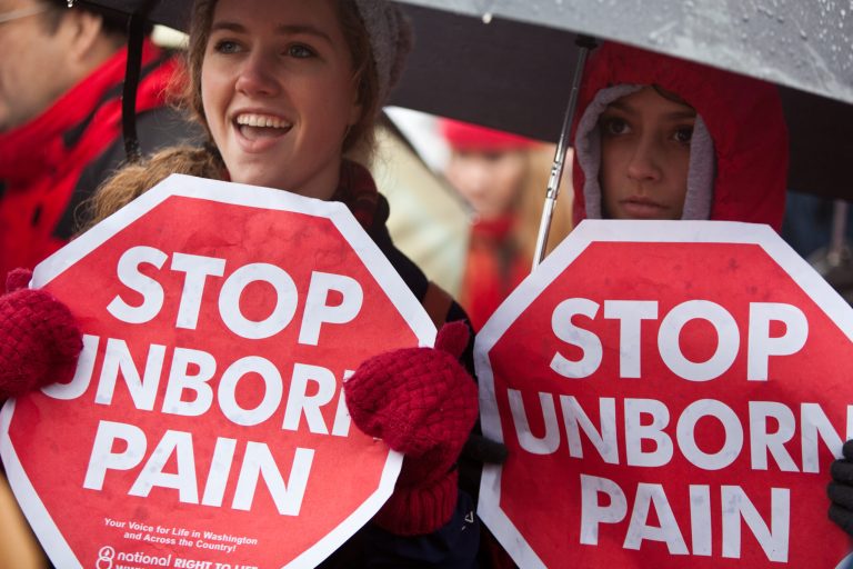 The House passed the Pain-Capable Unborn Child Protection Act in May.Â (Photo by Brendan Hoffman/Getty Images)
