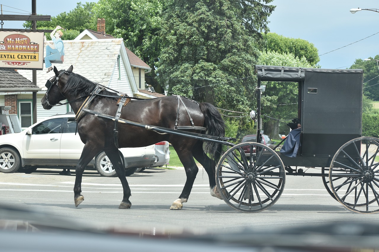 Afternoon Links: Amish Rock, Paul Nehlen Works the Alt-Right, and Journalistic Trust