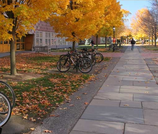 Princeton University considers unapproved meningitis vaccine