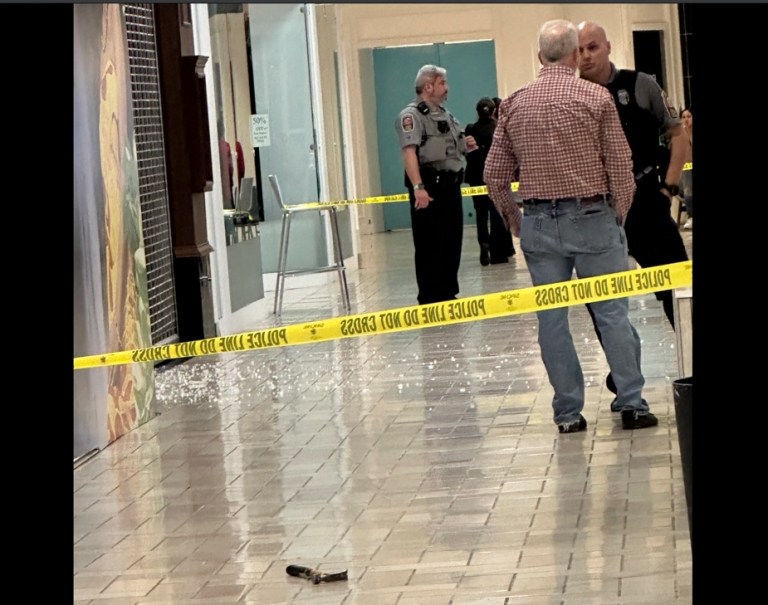 EXCLUSIVE: Jewelry store robbery sends packed Virginia mall into chaos