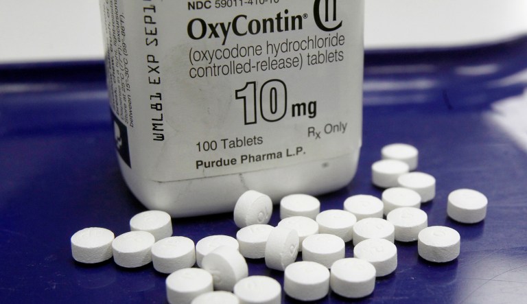 New Hampshire on Tuesday became the latest state to launch a lawsuit against a prescription painkiller manufacturer, Perdue Pharma, for deceptively marketing OxyContin. (AP Photo/Toby Talbot, File)