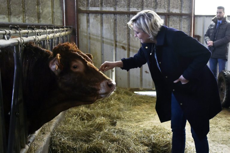 There are fewer farms in America now than at any point since the 1800s. (Pascal Pavani, Pool via AP)