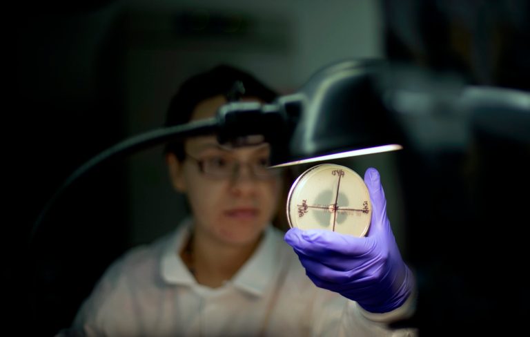 A microbiologist reads a plate to check on a bacterium's resistance to an antibiotic in an antimicrobial resistance and characterization lab within the Infectious Disease Laboratory at the federal Centers for Disease Control and Prevention. (AP Photo/David Goldman)